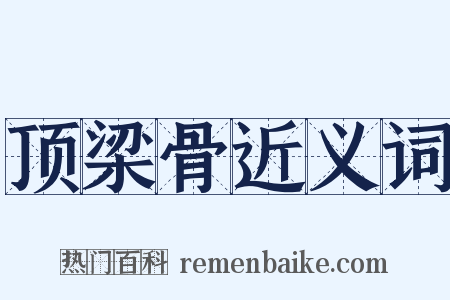 顶梁骨近义词是什么意思的图片